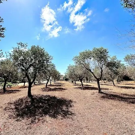Trullo Damanera - Con Piscina E Uliveto *