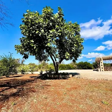 Trullo Damanera - Con Piscina E Uliveto Apartmán